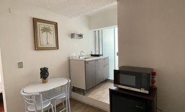 Loft en Renta, Polanco, 1 Recámara