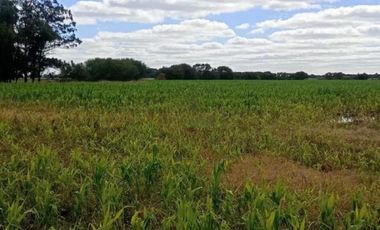 Campo en venta - 2.420.000Mts2 - Mechongué