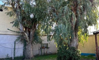 Venta de Casa Quinta 4 Ambientes en Paso Del Rey S/Lote de 24.73x45.50M² Con Quincho yPileta