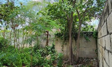 Casa en venta para remodelar en el Centro Histórico de Mérida – Gran terreno