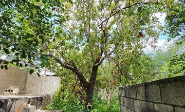 Casa en venta para remodelar en el Centro Histórico de Mérida – Gran terreno