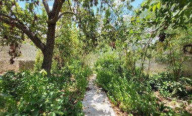 Casa en venta para remodelar en el Centro Histórico de Mérida – Gran terreno