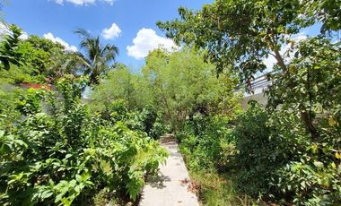 Casa en venta para remodelar en el Centro Histórico de Mérida – Gran terreno