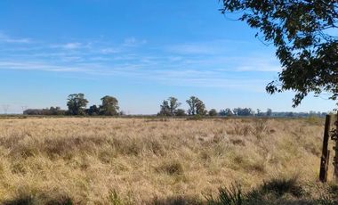 Campo en venta - 83.000Mts2 - Florencio Varela