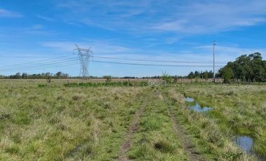 Campo en venta - 83.000Mts2 - Florencio Varela