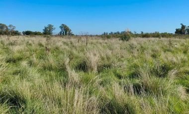 Campo en venta - 83.000Mts2 - Florencio Varela