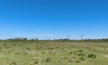 Campo en venta - 83.000Mts2 - Florencio Varela