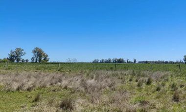 Campo en venta - 83.000Mts2 - Florencio Varela