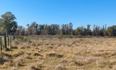 Campo en venta - 83.000Mts2 - Florencio Varela