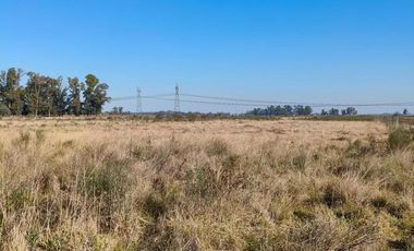 Campo en venta - 83.000Mts2 - Florencio Varela