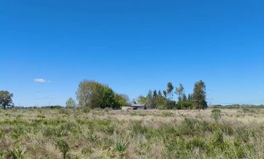Campo en venta - 83.000Mts2 - Florencio Varela