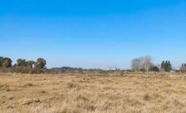 Campo en venta - 83.000Mts2 - Florencio Varela