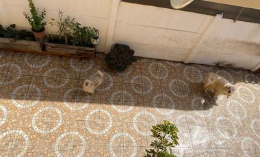 Casa en Venta en Placilla de Peñuelas