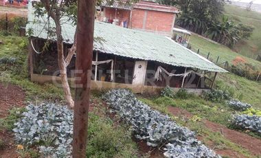 ¡Bienvenido a tu oasis de recreación en Guarne!