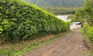 Venta Casa Finca de recreo cerca al parque principal