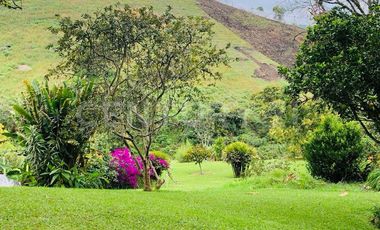 VENTA DE FINCA CON CASA CAMPESINA EN MARINILLA