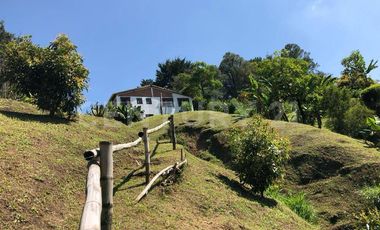 VENTA DE FINCA CON CASA CAMPESINA EN MARINILLA