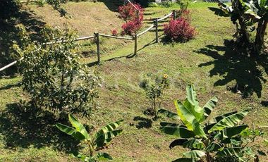 VENTA DE FINCA CON CASA CAMPESINA EN MARINILLA