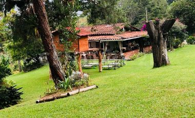 VENTA DE FINCA CON CASA CAMPESINA EN MARINILLA