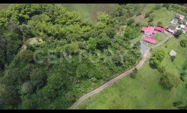 VENTA FINCA TURISTICA  CAFETERA  EN FILANDIA QUINDIO