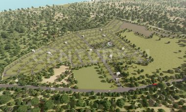 VENDO LOTE  QUE ES EL SECRETO MEJOR GUARDADO DEL CARIBE