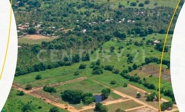 VENDO LOTE  QUE ES EL SECRETO MEJOR GUARDADO DEL CARIBE
