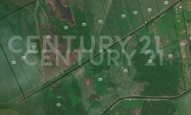 VENDO LOTE  EN NUEVA COLONIA  CERCA  DE PUERTO ANTIOQUIA