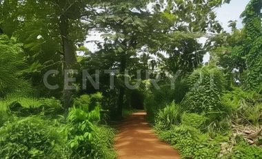 VENDO LOTE  EN NUEVA COLONIA  CERCA  DE PUERTO ANTIOQUIA