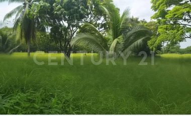 VENDO LOTE  EN NUEVA COLONIA  CERCA  DE PUERTO ANTIOQUIA