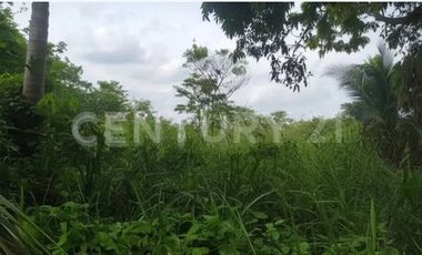 VENDO LOTE  EN NUEVA COLONIA  CERCA  DE PUERTO ANTIOQUIA