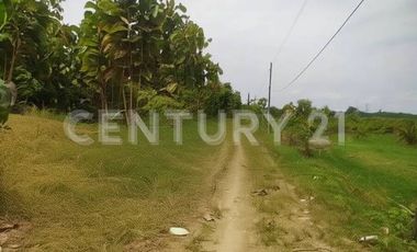 VENDO LOTE  EN NUEVA COLONIA  CERCA  DE PUERTO ANTIOQUIA