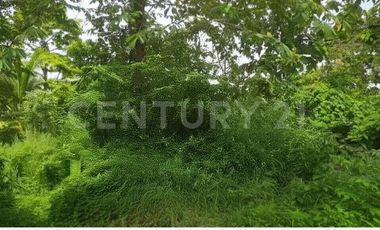 VENDO LOTE  EN NUEVA COLONIA  CERCA  DE PUERTO ANTIOQUIA