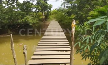 VENDO LOTE  EN NUEVA COLONIA  CERCA  DE PUERTO ANTIOQUIA