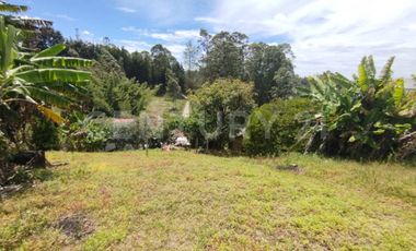 VENDO CASAFINCA EN VEREDA LAS LAJAS RIONEGRO
