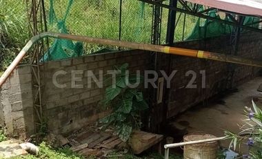 BENDO BEDEGA EN CALDAS ANTIOQUIA