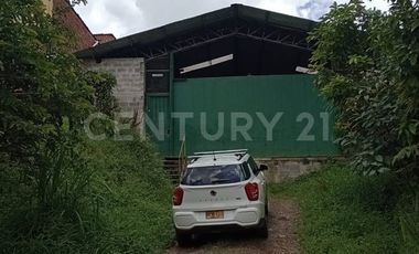 BENDO BEDEGA EN CALDAS ANTIOQUIA