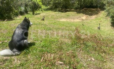 VENDO LOTE EN CONCEPCION, VEREDAD SANTA RITA