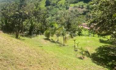 VENDO LOTE EN CONCEPCION, VEREDAD SANTA RITA