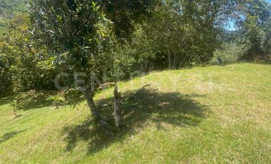 VENDO LOTE EN CONCEPCION, VEREDAD SANTA RITA