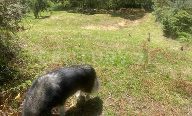 VENDO LOTE EN CONCEPCION, VEREDAD SANTA RITA