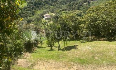VENDO LOTE EN CONCEPCION, VEREDAD SANTA RITA