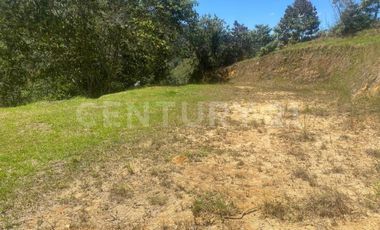 VENDO LOTE EN CONCEPCION, VEREDAD SANTA RITA