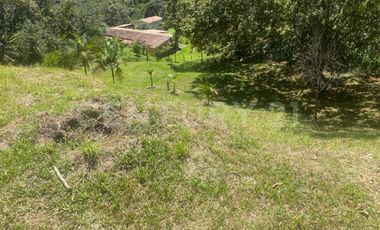 VENDO LOTE EN CONCEPCION, VEREDAD SANTA RITA