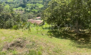 VENDO LOTE EN CONCEPCION, VEREDAD SANTA RITA