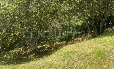 VENDO LOTE EN CONCEPCION, VEREDAD SANTA RITA