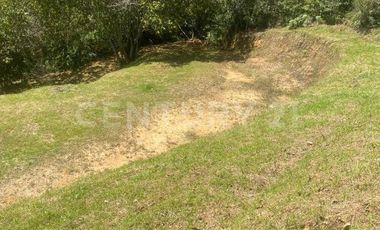 VENDO LOTE EN CONCEPCION, VEREDAD SANTA RITA