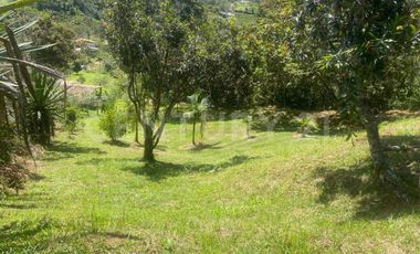 VENDO LOTE EN CONCEPCION, VEREDAD SANTA RITA
