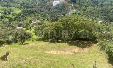 VENDO LOTE EN CONCEPCION, VEREDAD SANTA RITA