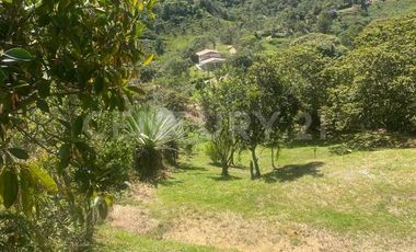 VENDO LOTE EN CONCEPCION, VEREDAD SANTA RITA