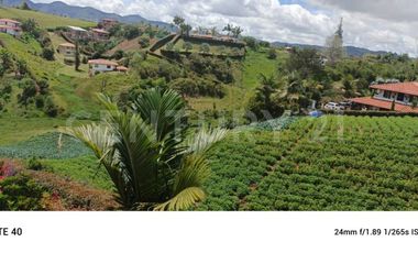VENDO CASAFINCA EN VEREDA LAS MERCEDES MARINILLA